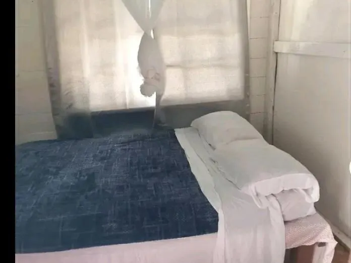My L Cabin In Negril location